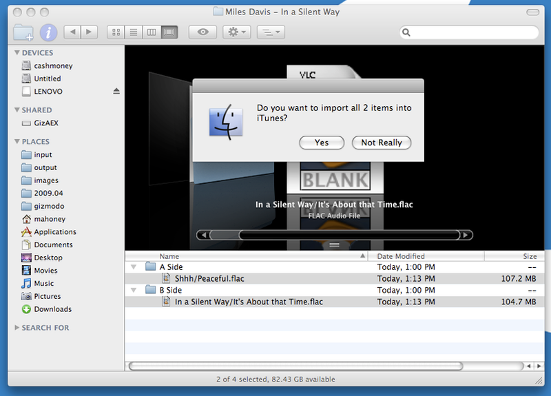 Illustration for article titled How To: Manage An All-Lossless Music Library With iTunes